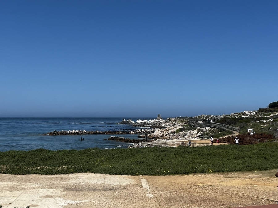 0 Bedroom Property for Sale in Bettys Bay Western Cape